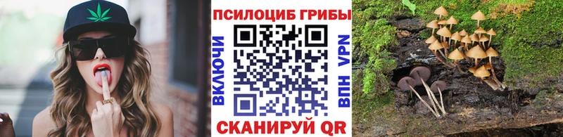 Купить где  Кимовск  Псилоцибиновые грибы мухоморы 